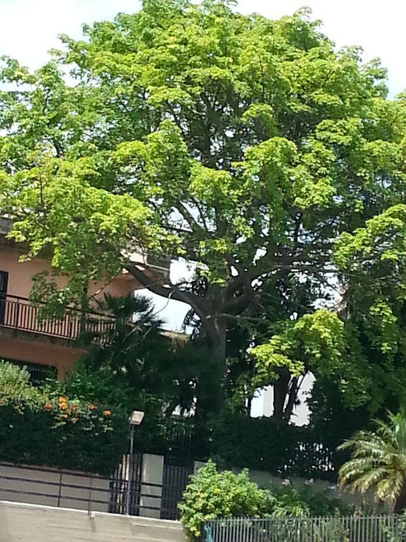 Porto Ulisse Bed & Breakfast Catania